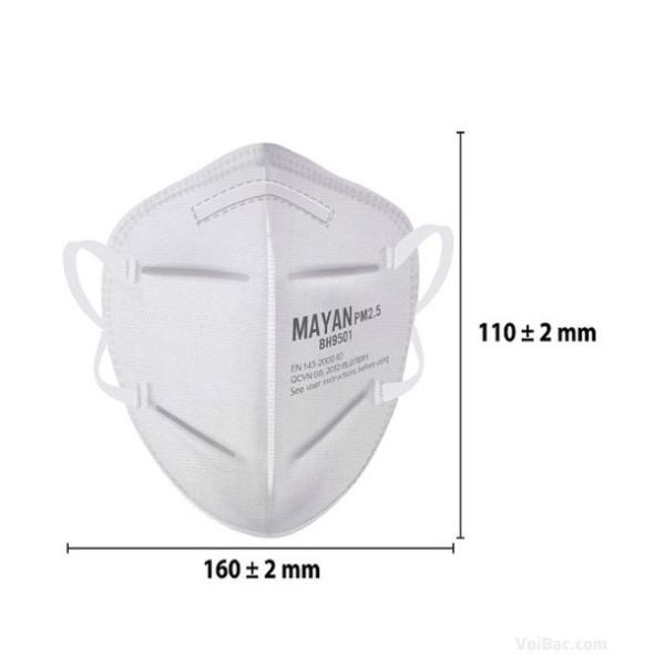 Khẩu Trang MAYAN PM2.5 BH9501 (2 Cái) - BVH0120