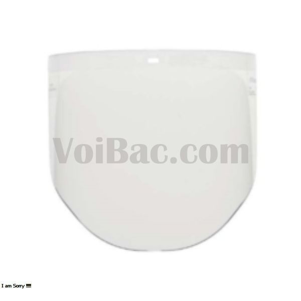 Kính Che Mặt 3M W96-KCM0037