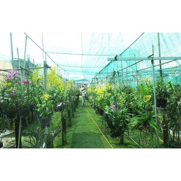 Lưới Che Nắng Cho Lan Giá Tốt Chất Lượng Cao - ATC0160