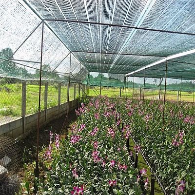 Lưới Đen Che Nắng Giá Rẻ Chất Lượng Cao - ATC0154